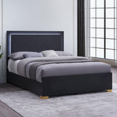 Treasury Black Wood Queen LED Panel Bed