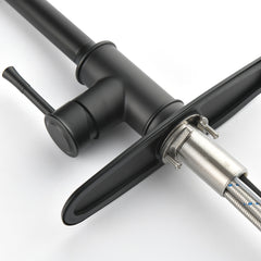 Black stainless steel single-handle high-arc pull-down kitchen faucet with hose.