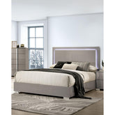 Contemporary Light Taupe 1pc Queen Size Bed w LED Headboard UV Finish Bedframe Bedroom Furniture