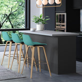 Eden Bentwood Counter/ Bar Height Stool (Set of 2)