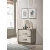 Revelation Grey Oak 2-drawer Nightstand