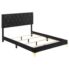 Paris Black/Gold 4-piece Tufted Panel Queen Bedroom Set