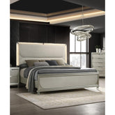 Contemporary Glam Silver Fabric Upholstered Queen Size Bed w LED Embossed Panel 1pc Bedframe Bedroom Furniture