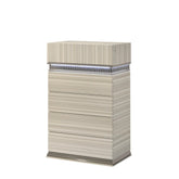 Earth Modern Style 5 Drawer Chest made with wood and LED in Gray with clean linear detailing