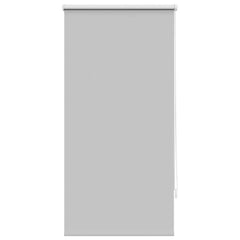 Blind Grey Polyester, Aluminum, PVC 23.6 x 47.2
