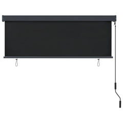 Anthracite outdoor roller blind with hand crank, measuring 66.9x98.4 inches.