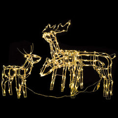 Christmas Light Display Warm white PVC, steel Christmas Lights