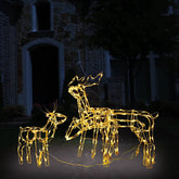 Christmas Light Display Warm white PVC, steel Christmas Lights