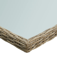 Dining Table Brown and transparent