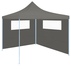 Two anthracite gazebo sidewalls with clear windows, designed for outdoor use.