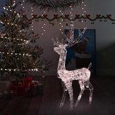 A 4ft acrylic reindeer decoration illuminated by 140 warm white LEDs for festive display.