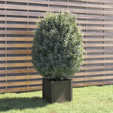 Planter Grey Solid Pinewood Medium Decorative Inlays Planter