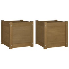 Planter Set of 2 Honey Brown Solid Pinewood Standard Planters