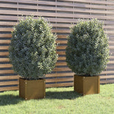 Planter Set of 2 Honey Brown Solid Pinewood Standard Planters