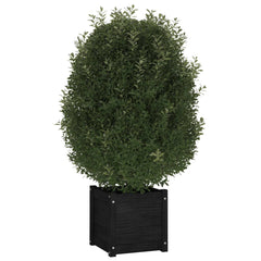 Planter Set of 2 Black Solid pinewood 15.7 x 15.7 x 15.7 in