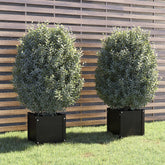 Planter Set of 2 Black Solid pinewood 15.7 x 15.7 x 15.7 in