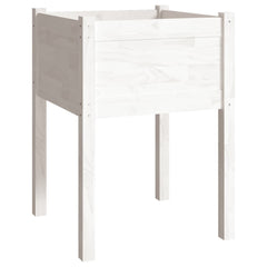 Two white solid pine wood garden planters, each 19.7 inches square and 27.6 inches tall.