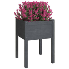 Two gray solid pine wood garden planters, elevated with square design and vibrant pink flowers.