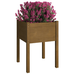 Honey brown solid pine wood garden planter with a raised design for flowers and plants.