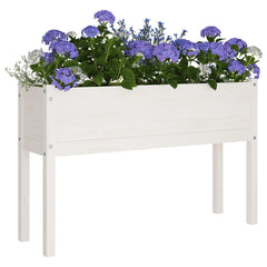 Planter White Solid pinewood Large Durable Planter