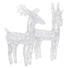 Christmas Reindeer Set of 2 Multicolor Acrylic Medium Lights