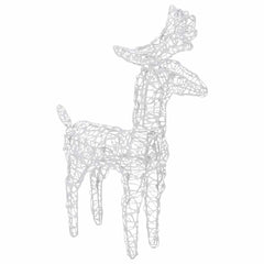 Christmas Reindeer Set of 2 Multicolor Acrylic Medium Lights