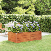 Garden Raised Bed Rusty brown Corten steel 63 x 31.5 x 17.7 in