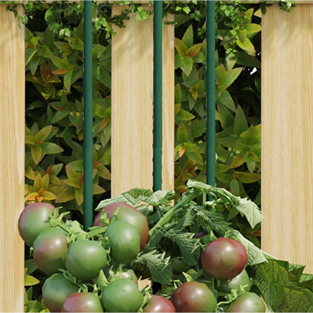 Green steel plant support stakes with tomato vines and fruits in a wooden garden frame.