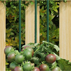Green steel plant support stakes with tomato vines and fruits in a wooden garden frame.