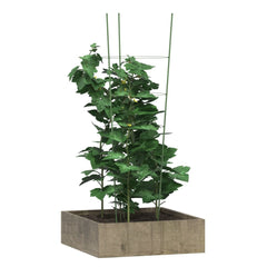 Set of five green steel garden plant supports with four rings, 35.4 inches tall each.