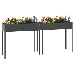 Two anthracite galvanized steel garden planters on tall legs with flowers inside.