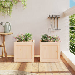 Two light-colored solid pine wood cubic planters with blooming plants on a sunny balcony.