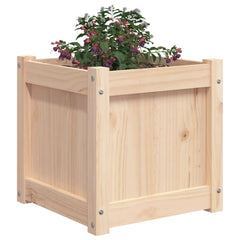 Set of two solid pine wood garden planters with berry plants.