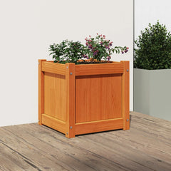 A square, wax-brown solid pine wood garden planter with two flowering plants.