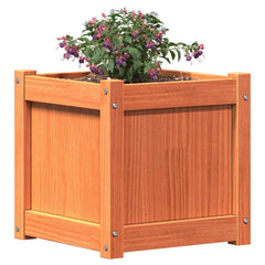 Set of two wax brown solid pine wood garden planters, each 15.7 inches square, with purple flowers.