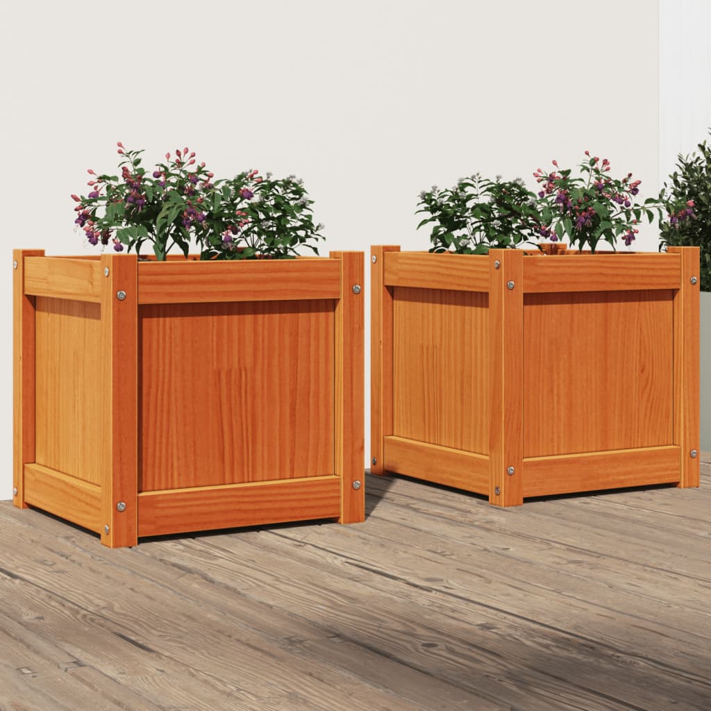 Two wax brown solid pine wood garden planters with purple flowers, side by side on a wooden floor.