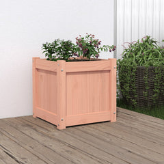 Square wooden garden planter made of Douglas wood, 15.7 inches cubed, with potted plants.