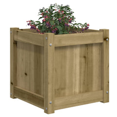 Square pine wood garden planter with visible screws and a flowering plant inside