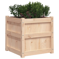 Two 19.7-inch square solid pine wood garden planters with lush green and pink plants.