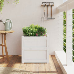 White solid pine wood garden planter, 19.7x19.7x19.7 inches, with green herbs on a balcony.