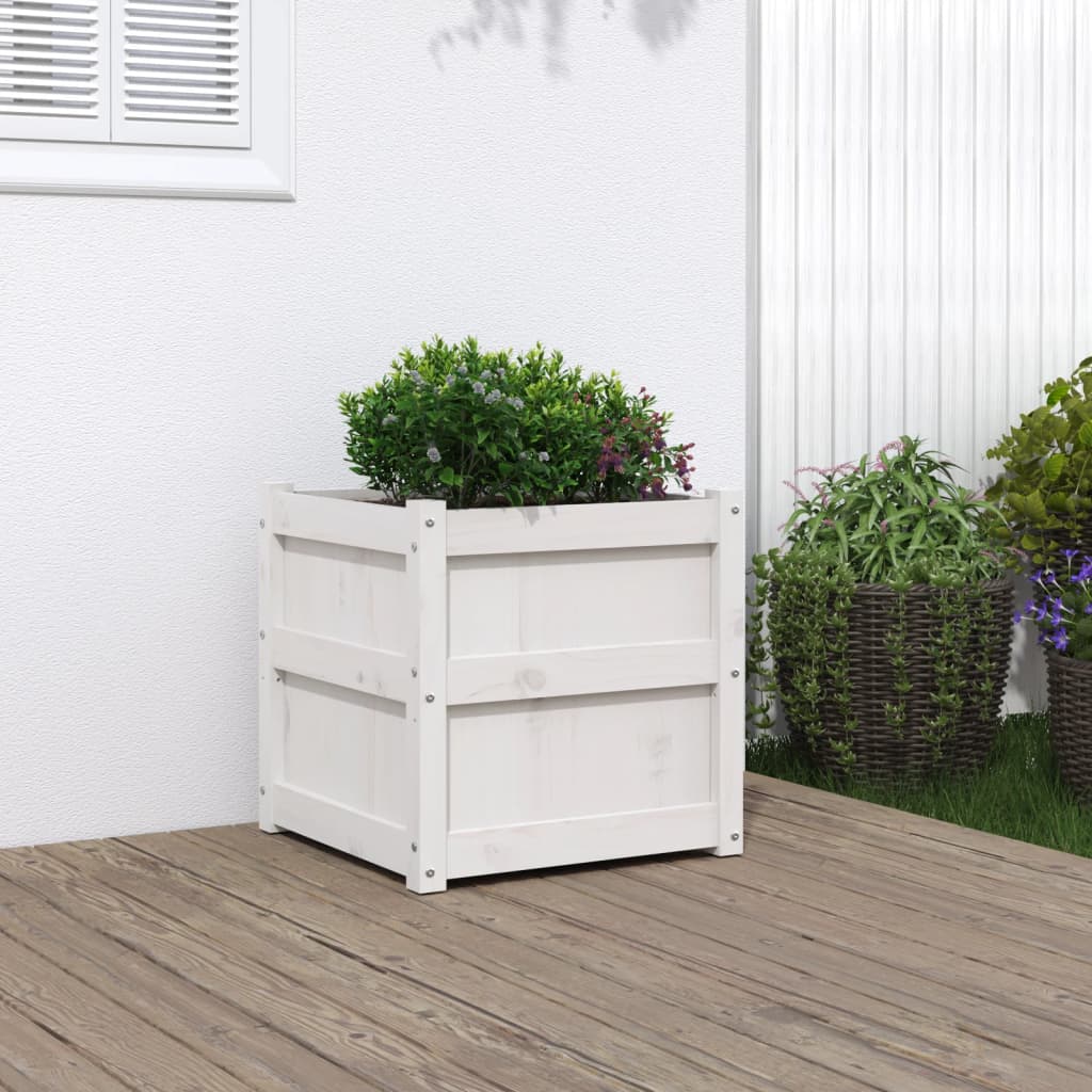 White solid pine wood garden planter, 19.7x19.7x19.7 inches, with green boxwood plant.