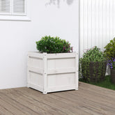 White solid pine wood garden planter, 19.7x19.7x19.7 inches, with green boxwood plant.