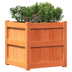A brown solid pine wood garden planter cube measuring 19.7x19.7x19.7 inches with green plants.