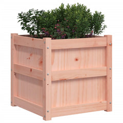 Set of two square wooden garden planters made from solid Douglas wood, shown with green plants.