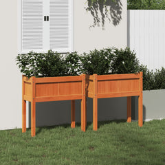 Two elevated brown pine wood garden planters with legs, filled with green shrubs, placed on grass beside a white fence.