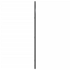 Wall Mirror Black Glass and powder-coated iron 23.6 x 39.4 in