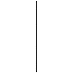 Wall Mirror Black Glass 19.7 x 39.4 in Wall mounting