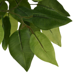 Artificial Ficus Tree Green PEVA leaves Medium Decorative Inlays