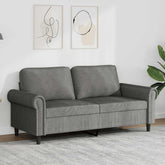 2-seater Sofa Dark Gray Velvet (100% polyester), Metal, Foam
