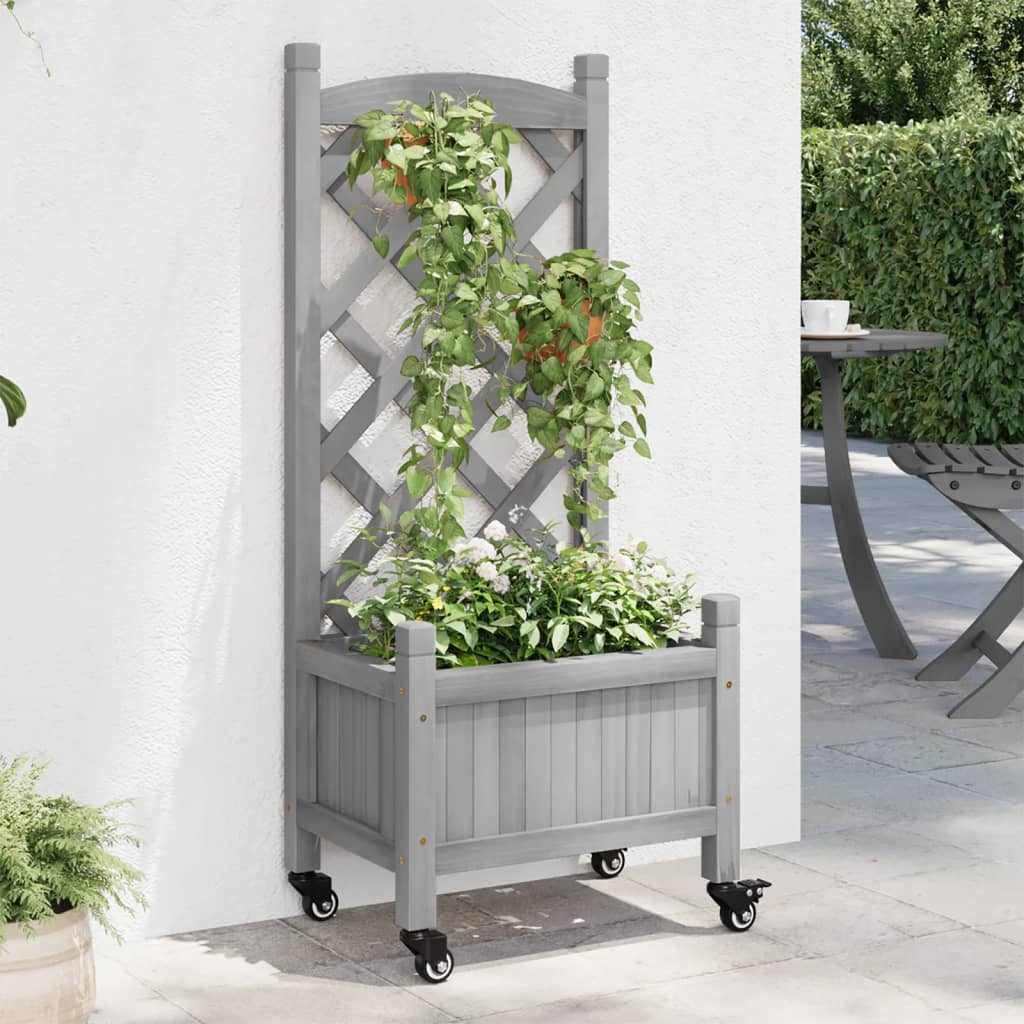 Gray fir wood planter with trellis and wheels holding green climbing plants outdoors.
